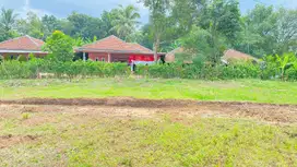 Tanah Kavling Lokasi Strategis, Bisa Dicicil 12x Bunga 0%