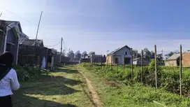Tanah Murah Meriah Kedungrejo Malang
