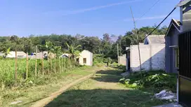 Tanah Kedungrejo Malang Murah Meriah