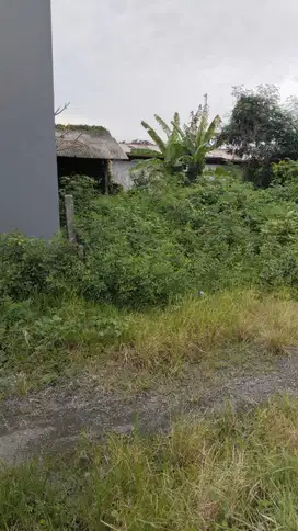 Jual Tanah 1 Are Lingk Villa di MUNGGU Pemaron