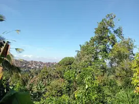 Dijual tanah kebun strategis murah di desa wisata Sanda Pupuan tabanan