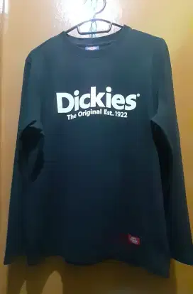 DICKIES Longsleeve