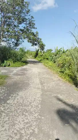 DI JUAL TANAH MURAH DEKAT KE PANTAI / JALAN KAKI KE PANTAI