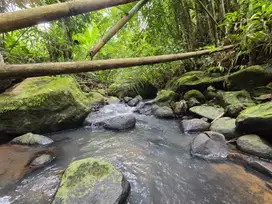 Dijual tanah murah dekat villa los sungai di bali