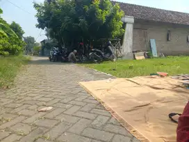 Tanah prambon sidoarjo siap bangun