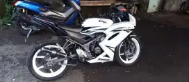 Ninja RR albino