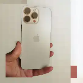 iPhone 16pm 256 Inter