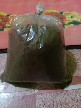 Kopi bubuk asli