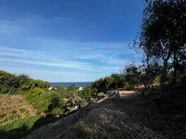 Dijual Cepat Tanah Luas Dekat Pantai Gunung Kidul (Peluang Investasi)