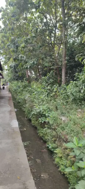 Dijual Tanah Di Keniten Tamanmartani Kalasan