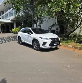 2020 Lexus RX300 F-Sport Facelift ATPM