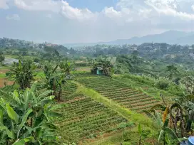 RUMAH DI JUAL SEISINYA TANPA PERANTARA (AKUN PEMILIK ASLI)