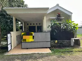 Disewakan Rumah Nyaman Terawat di Graha Bintaro