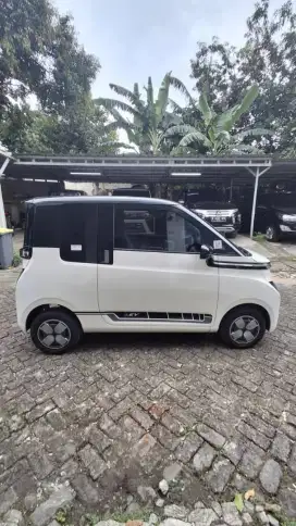 Air EV lite 300