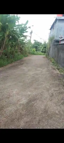 Jual Tanah 2,6 Are di Belalang Menuo Kedungu Tabanan