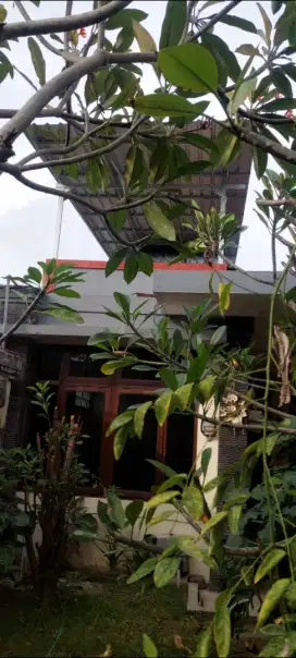 Disewakan rumah 4 kamar tidur di sesetan denpasar bali