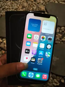 Iphone 12 pro 256gb Inter Beacukai/ setara ibox wrna silver mulus
