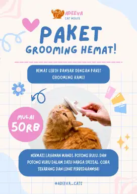 Grooming kucing mulai 50Rb