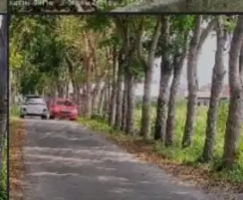 Djual Tanah Pekarangan Murah Meriah Di Timur Polsek Cebongan Mlati
