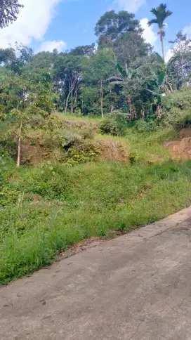 Lokasi buat Kolam ikan Ko.i ada mata air bersih di ciawi bogor