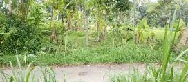Dijual Tanah Sawah SHM Jalur Kuning