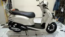 Yamaha Grand Fillano 2023