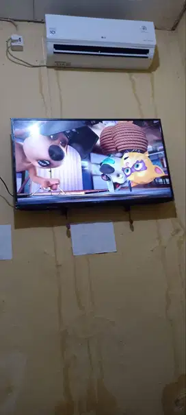 jual tv philips 43 inch murah nih