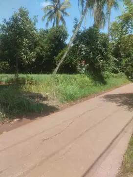 Jual tanah taman sari