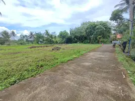 BU, Dijual Cepat Tanah View Sawah Belakang UII