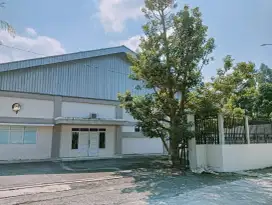 Dijual Pabrik Mie