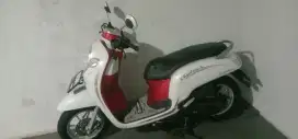 Jual Scoopy 2019 pjk hidup panjang jos