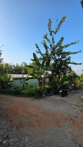 Dijual Tanah Kavling di Semanding Sumbersekar, Dau Malang