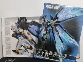Daban MG Strike Freedom