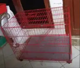 Kandang kucing dan anjing