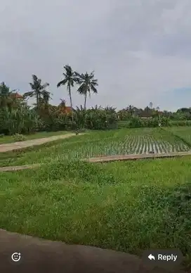 Di jual tanah kavling di bali