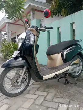 Scoopy stylish black