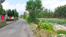 Lokasi Sejuk di puncak bogor dekat taman safari