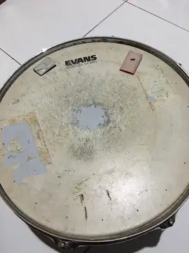 Snare pearl 14x5.5