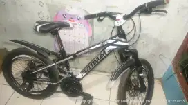 Sepeda Anak Remaja 20 Platinum EVO Shimano | Siap Pakai & Gagah!