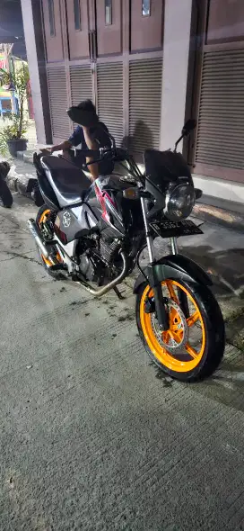Tiger revo 2011