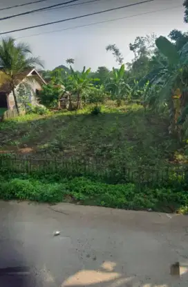 Jual Cepat Kavlin Tanah 
Pasar Rebo Babakan Tenjo Bogor