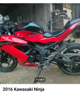 Ninja BX 250 CC kumplit