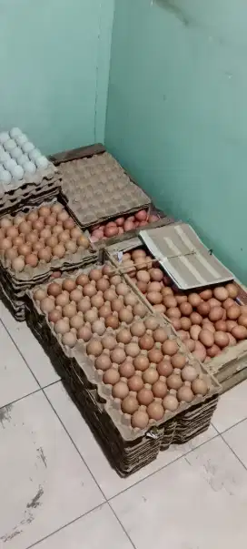 Telur, minyak dan aneka sembako lain nya