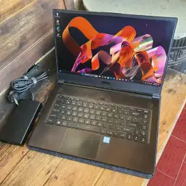 MSI GS65 Stealth Thin 8RE Core i7 Gen 8 GeForce GTX 1060 RAM 16/256 GB