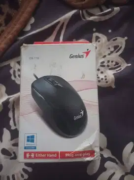 Mouse Genius USB
