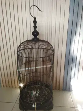 Lovbird Betina sama kandangnya
