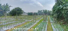 Dijual tanah luas matang pinggir jalan view keren dekat kota