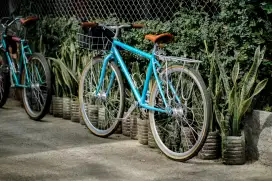 sepeda Federal Custom
