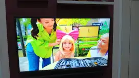 TV panasonic 43inch normal