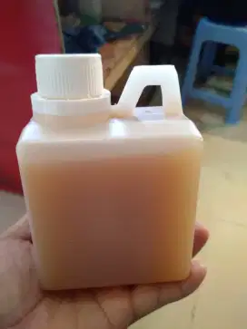 Madu Apis Cerana